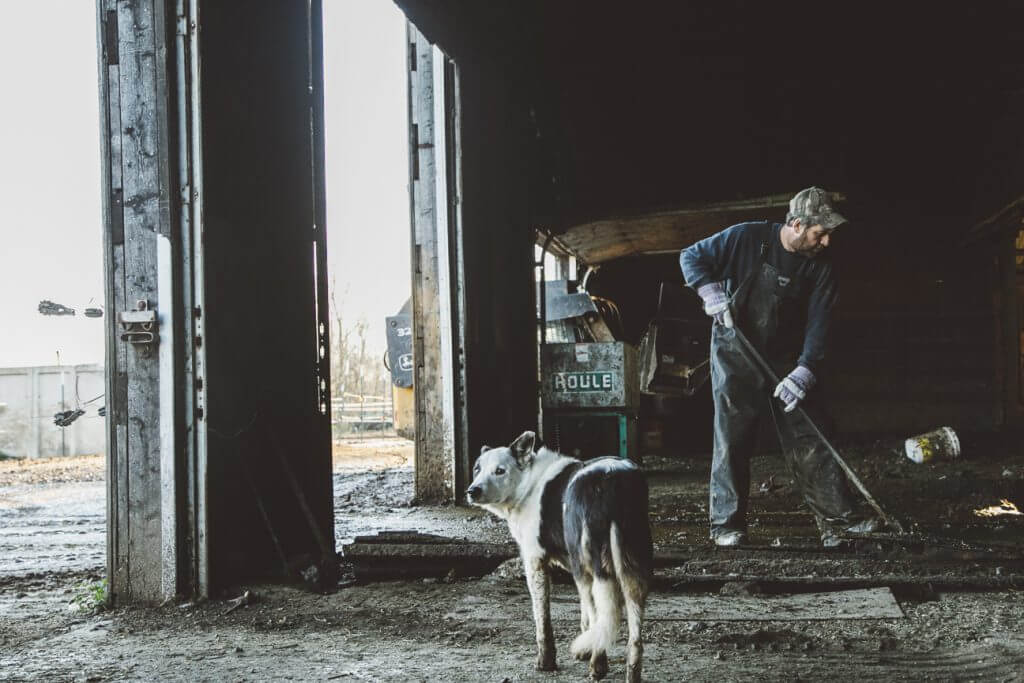 A man and a dog in a barn