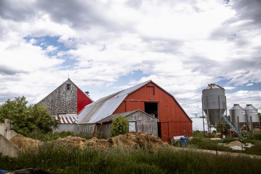 Red barn, grain silos, and weathered farm buildings under cloudy sky