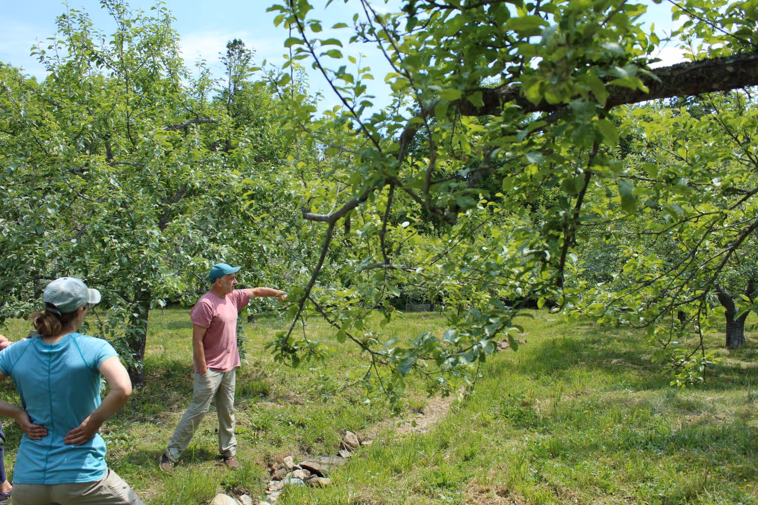 Support Local Farms in the Blue Hill Region