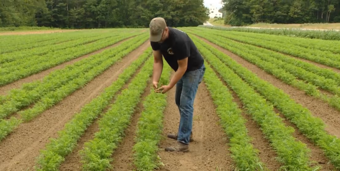Free Climate Consults aim to help Maine farmers adapt to change