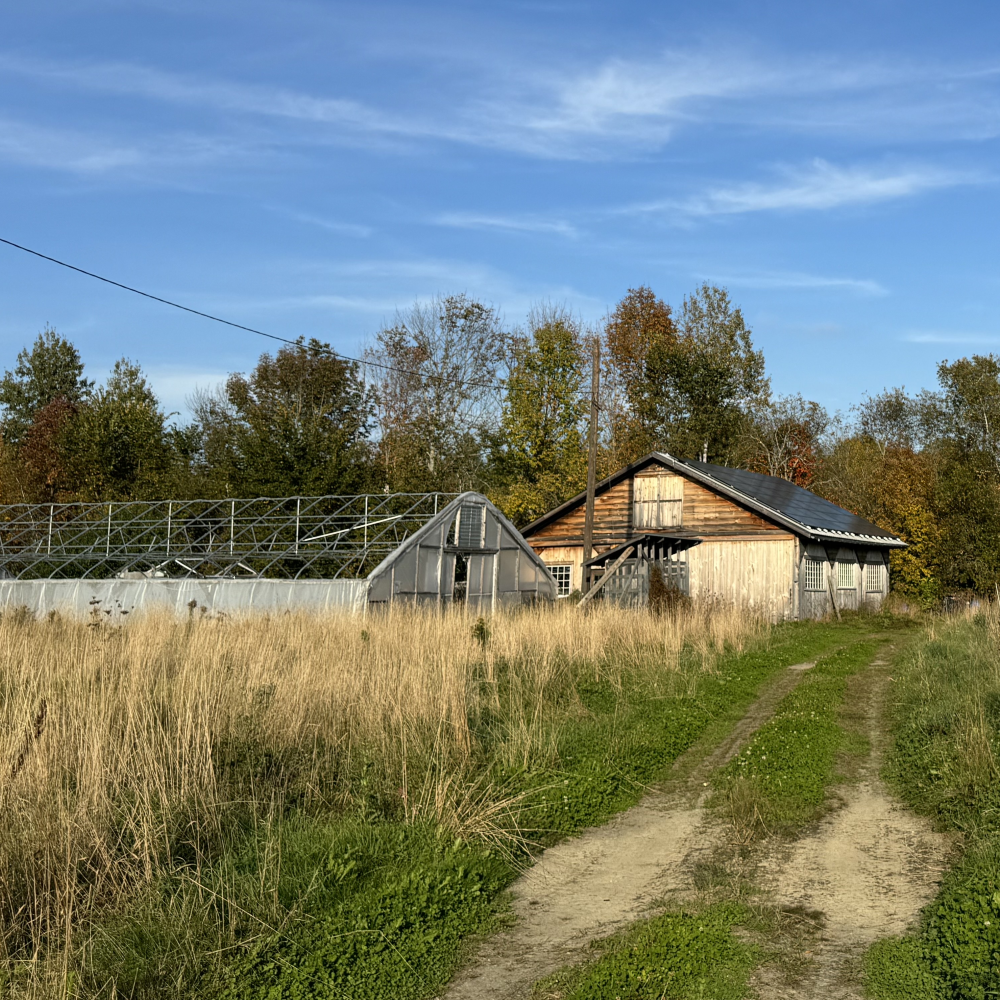 Forever Chemicals Threaten to Upend Our Food and Health