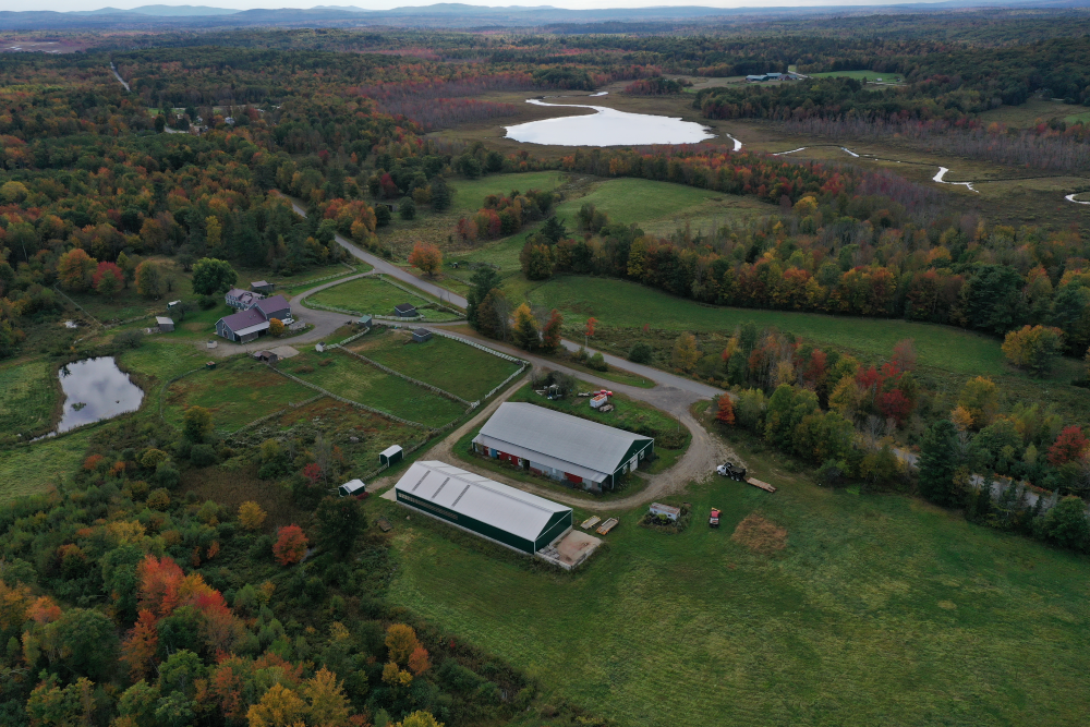 Wabanaki food sovereignty group secures no-strings land deal