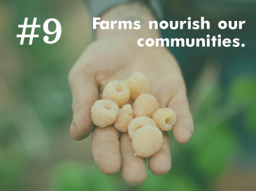 Hand holding white raspberries, highlighting farm-fresh produce