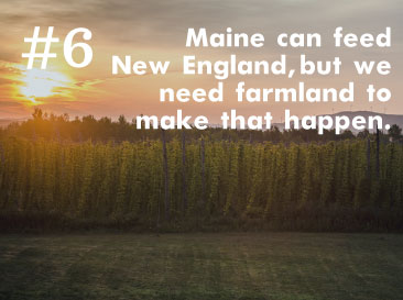 Sunset over agricultural field with text about Maine farming and food production