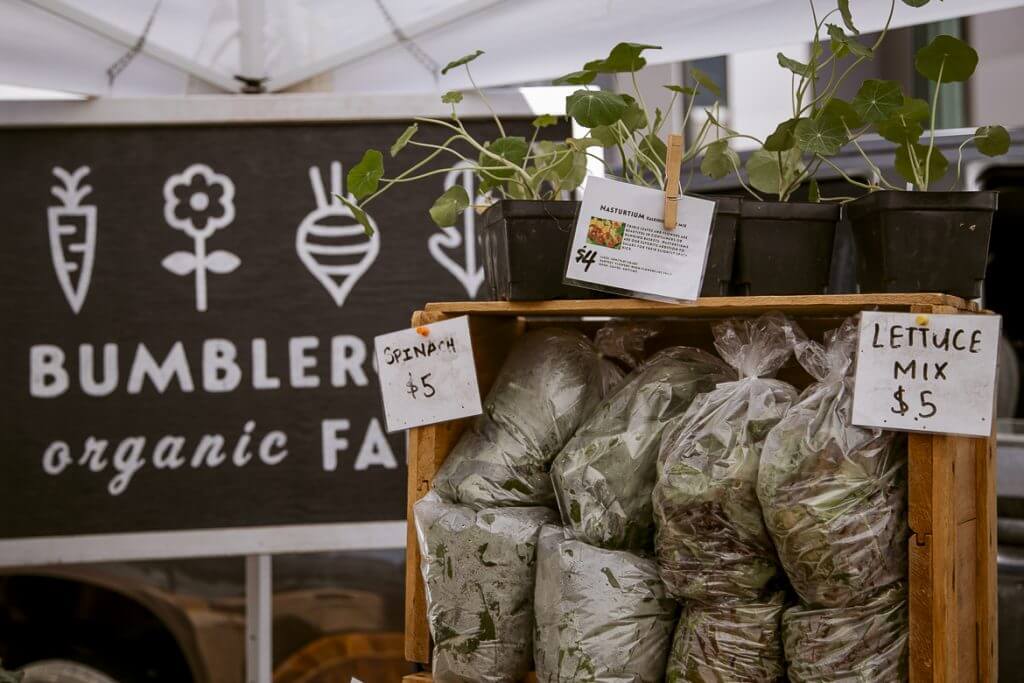 Bumbler Organic Farm stand with spinach and lettuce mix bags for sale