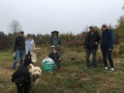 Group of people and dogs standing near woodland conservation sign