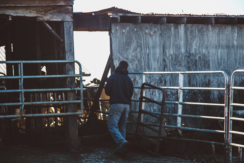 Person standing near metal gates in rustic barn or farm shed