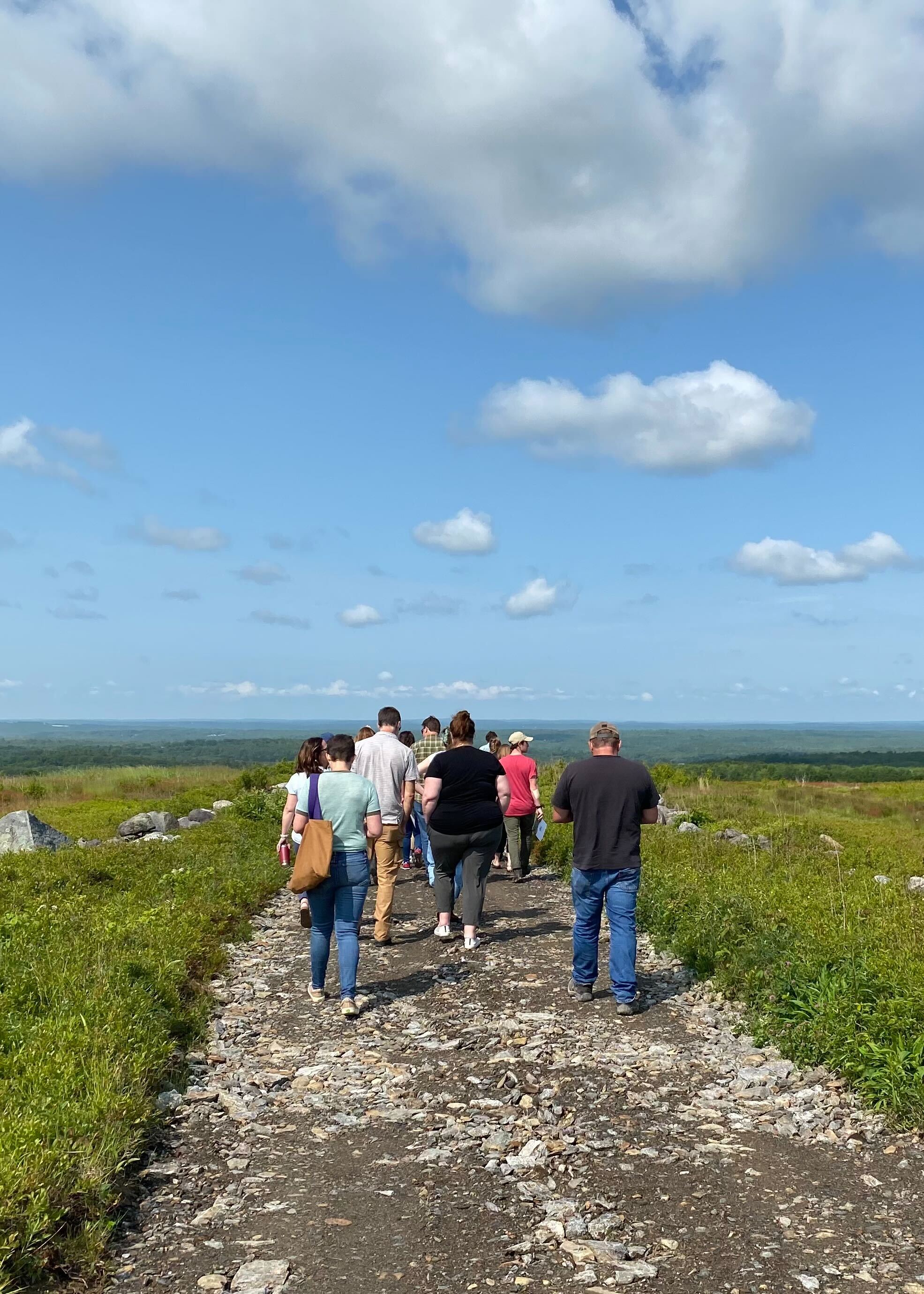Group hiking on rocky trail with expansive forest and cloudy sky view