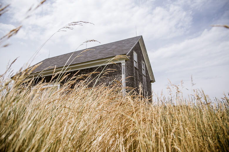 Weathered wooden house surrounded by tall golden grass under cloudy sky
