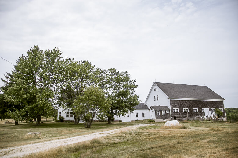 Rural farmhouse with white buildings and trees on grassy landscape