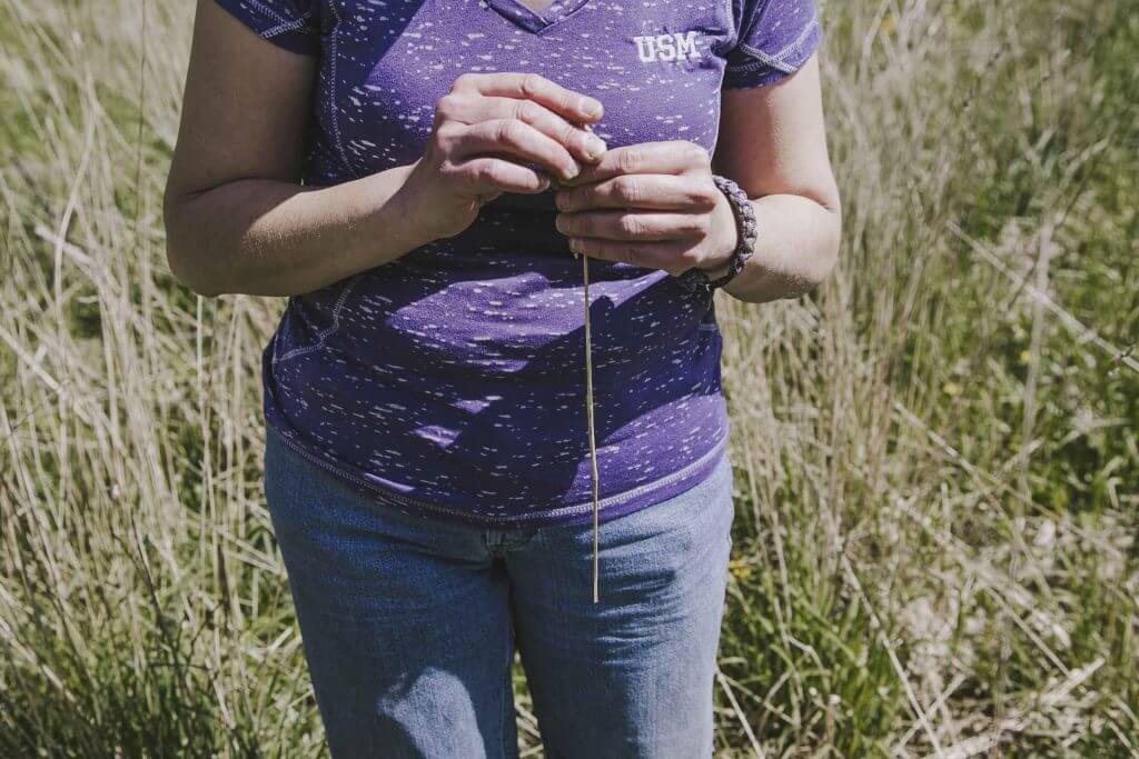Person in USM shirt holding string in grassy field