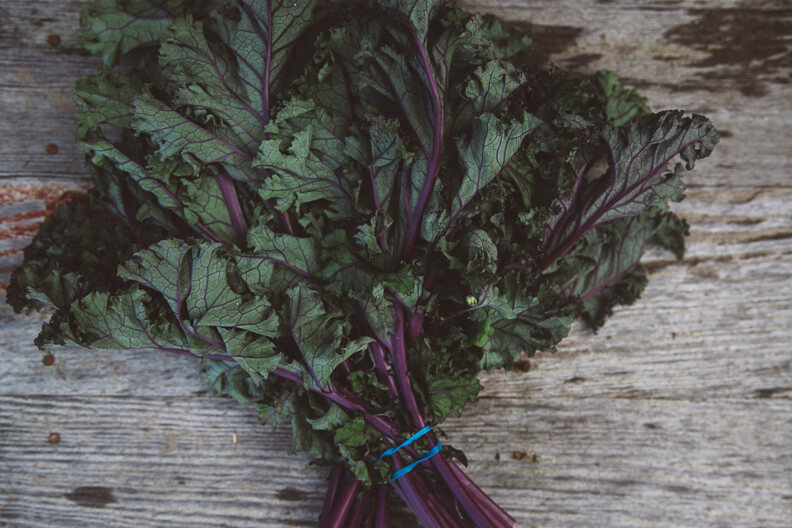 Fresh bunch of purple-stemmed kale tied with blue band on wooden surface
