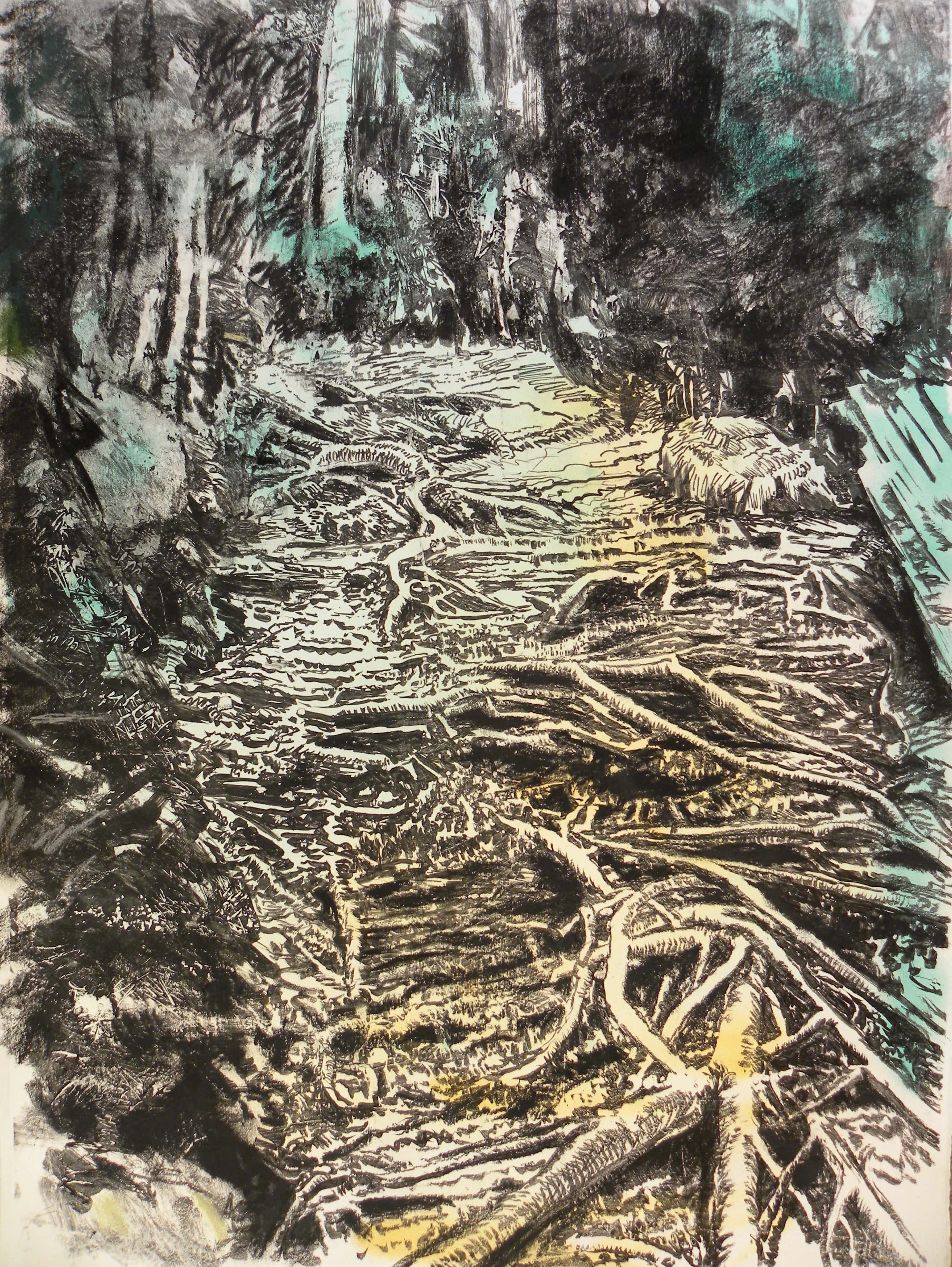 Tangled tree roots and forest floor in moody green and yellow tones