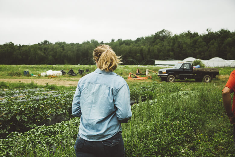 Farmer overlooking vegetable field with truck and greenhouse in background