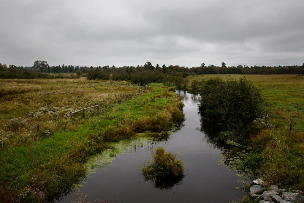 Calm stream winding through marshy grasslands under overcast gray sky