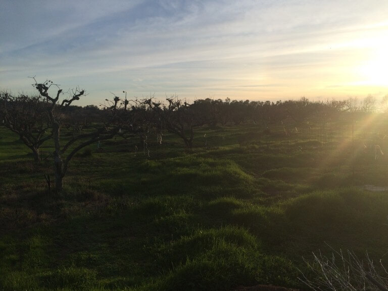 This image has an empty alt attribute; its file name is IMG_1747-768x576.jpg