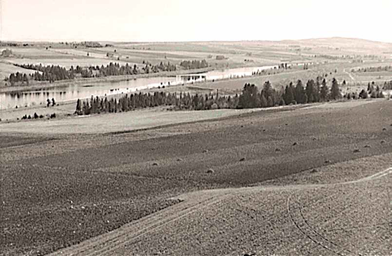 This image has an empty alt attribute; its file name is reclaiming-maine-2.bmp