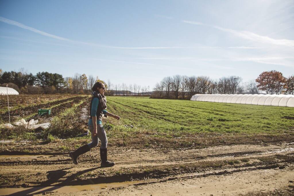 Person walking on muddy farm path with greenhouse and green fields