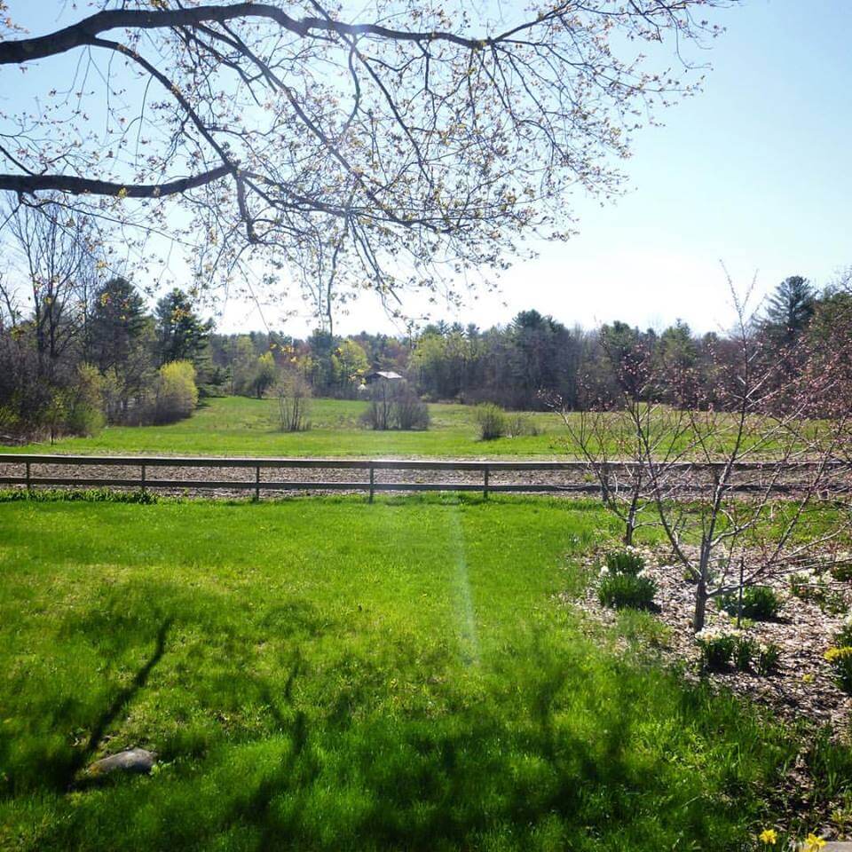 Spring landscape with green grass, wooden fence, budding tree branches overhead