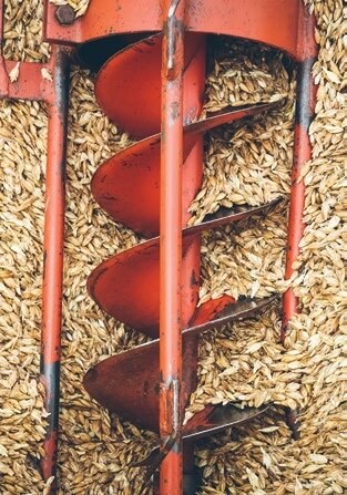 Red metal auger screw filled with grain kernels, overhead view
