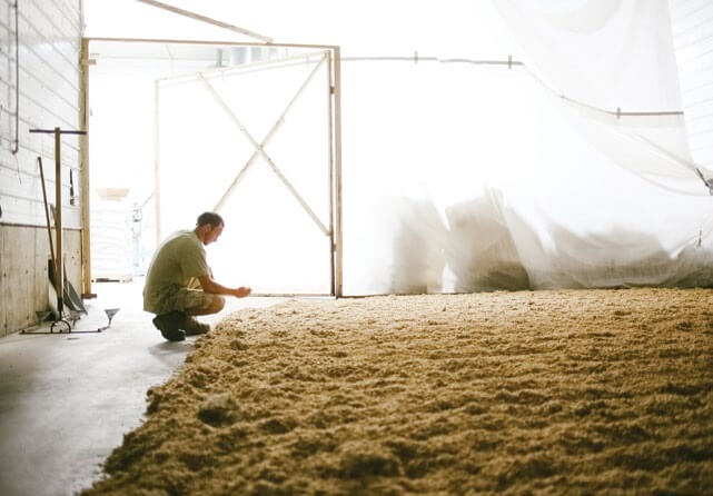 Worker crouches near pile of grain in large agricultural storage facility
