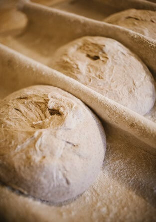 Fresh artisan bread dough rising, dusted with flour before baking