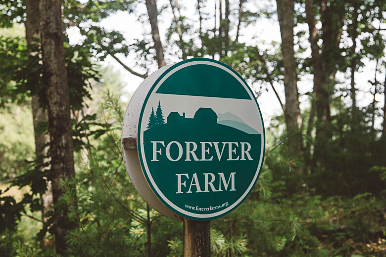 Green Forever Farm sign mounted in a wooded forest setting