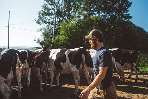 Farmer standing near black and white dairy cows in pasture on sunny day