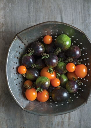 Assorted cherry tomatoes in colander: orange, green, and dark purple varieties.