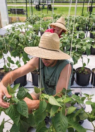 Person tending seedlings in greenhouse with straw hat and potted plants