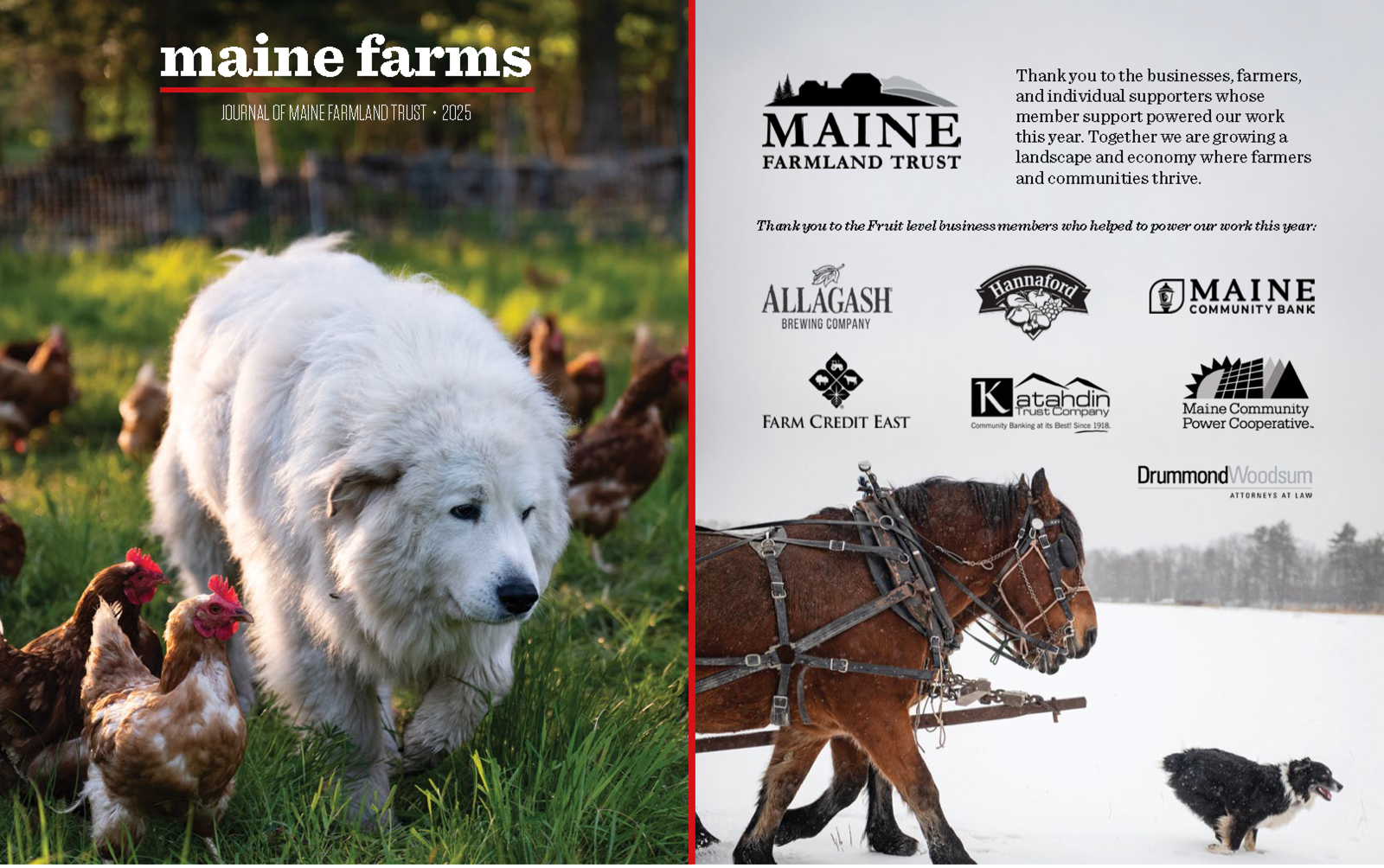 Dig into the newest issue of the Maine Farms journal!
