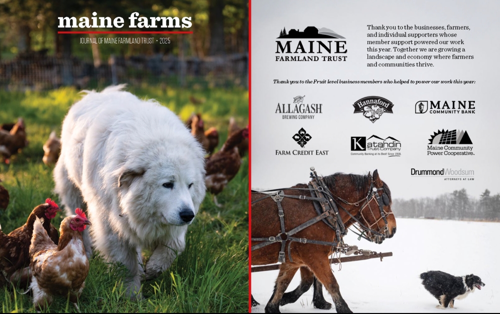 Dig into the newest issue of the Maine Farms journal!