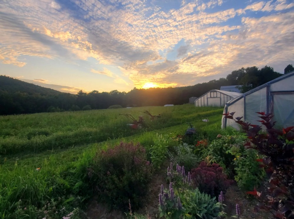 Happytown Farm Tour