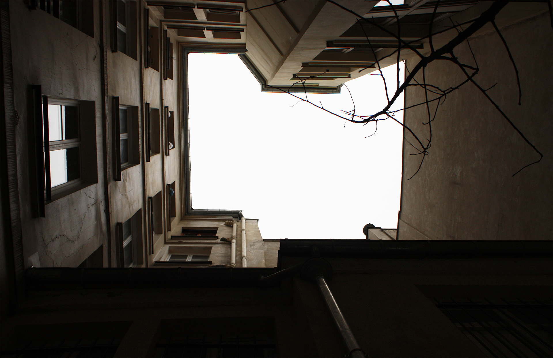Looking straight up from a narrow courtyard at a pale sky, framed by tall building walls and bare branches