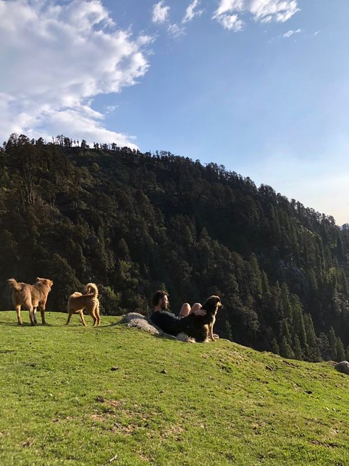 77. What if I told you something earnestly?