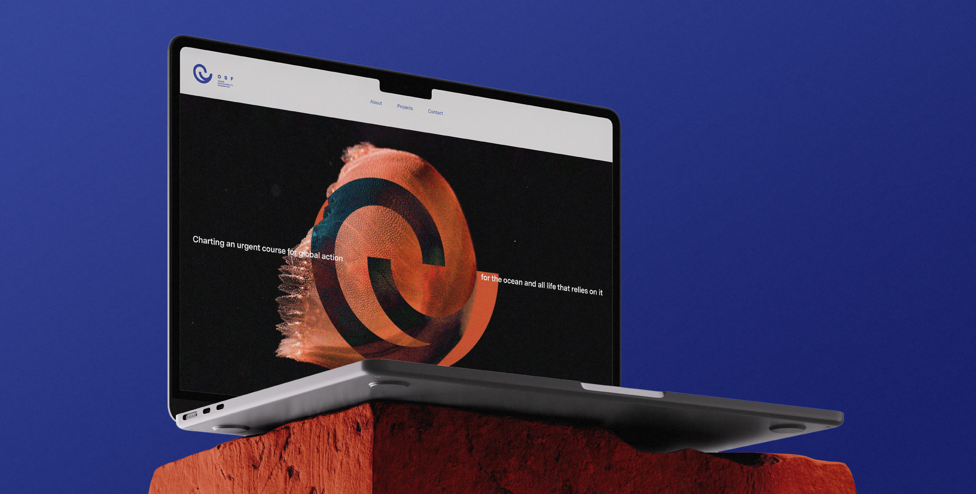 Open laptop displaying an OSF ocean-focused website, set on a red rock pedestal against a deep blue background — Ocean Sustainability Foundation (OSF) by Lazy snail Design