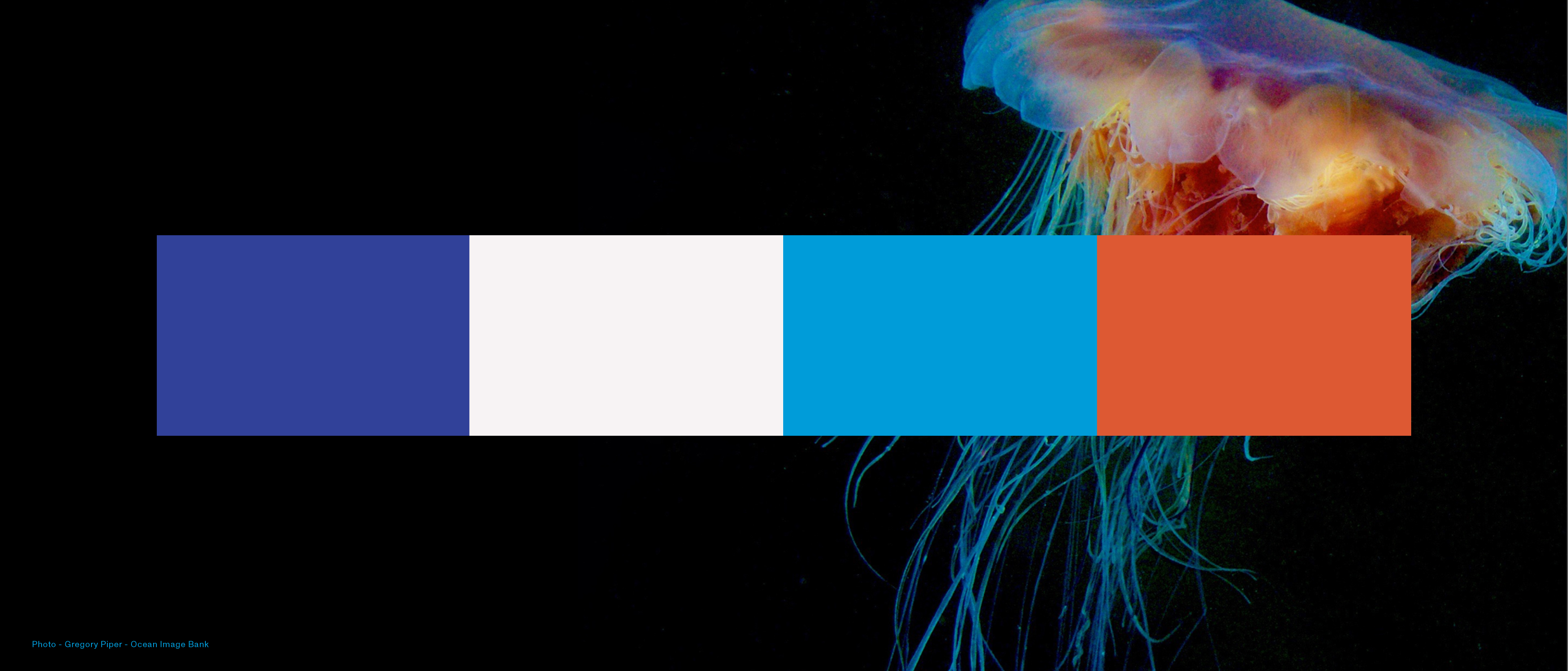 Brand identity, website and report design for Ocean Sustainability Foundation, a Paris-based organisation connecting ocean science, policy and action. The case presents a new visual identity system, digital platform and communication framework created to support clarity, credibility and international collaboration. — Ocean Sustainability Foundation (OSF) by Lazy snail Design