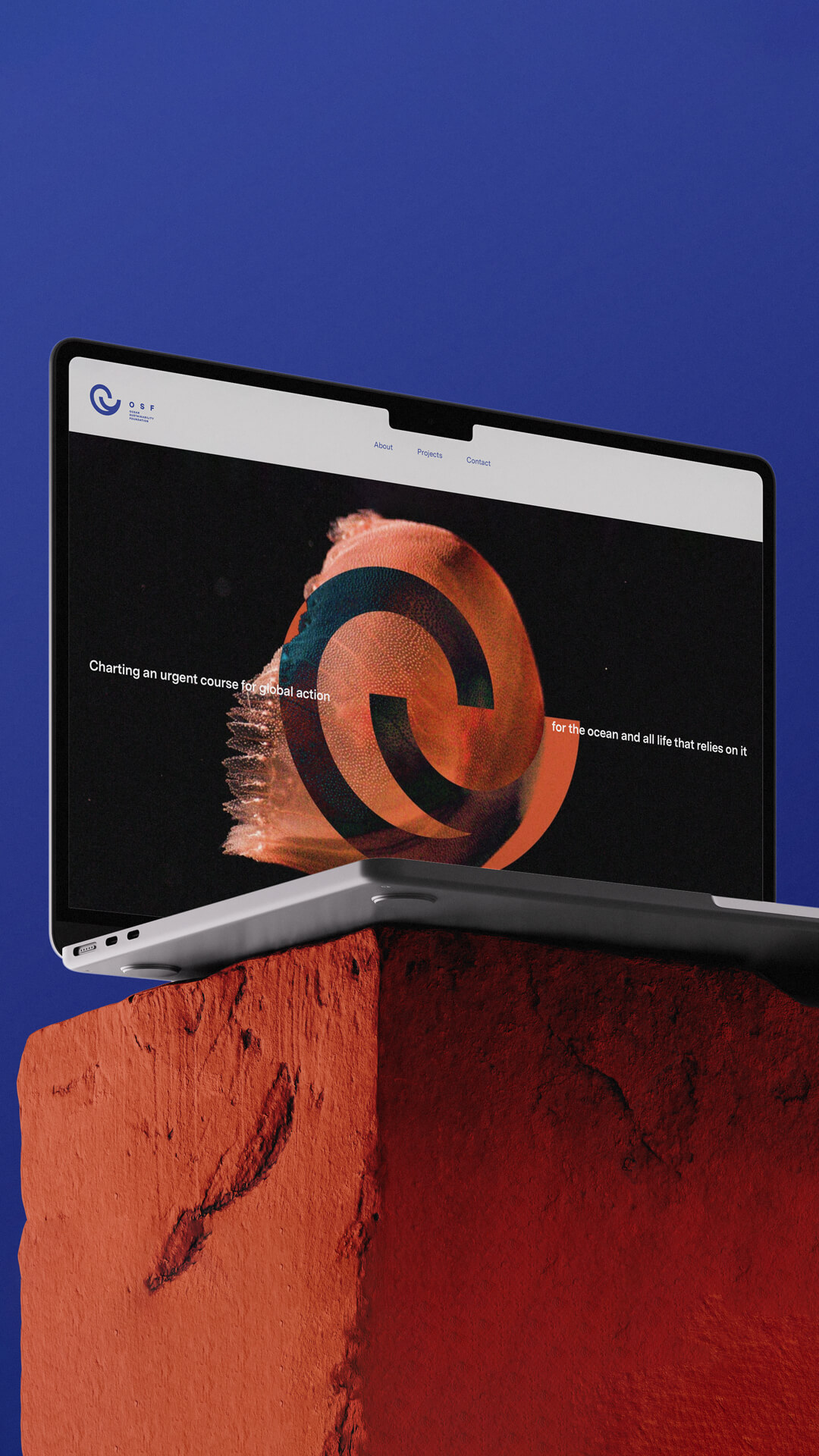 Open laptop displaying an OSF ocean-focused website, set on a red rock pedestal against a deep blue background — Ocean Sustainability Foundation (OSF) by Lazy snail Design