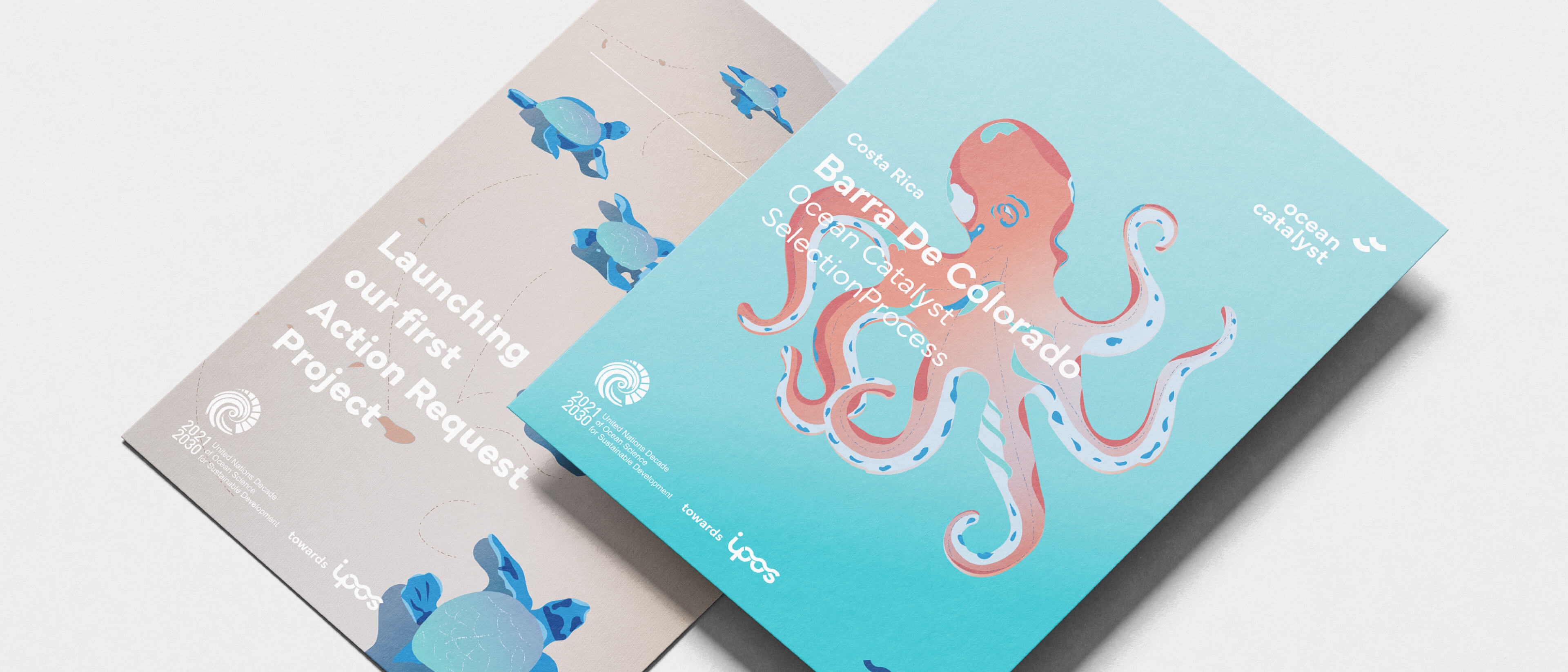 Brand strategy, identity system, digital assets and printed brand guidelines — IPOS by Lazy snail Design.