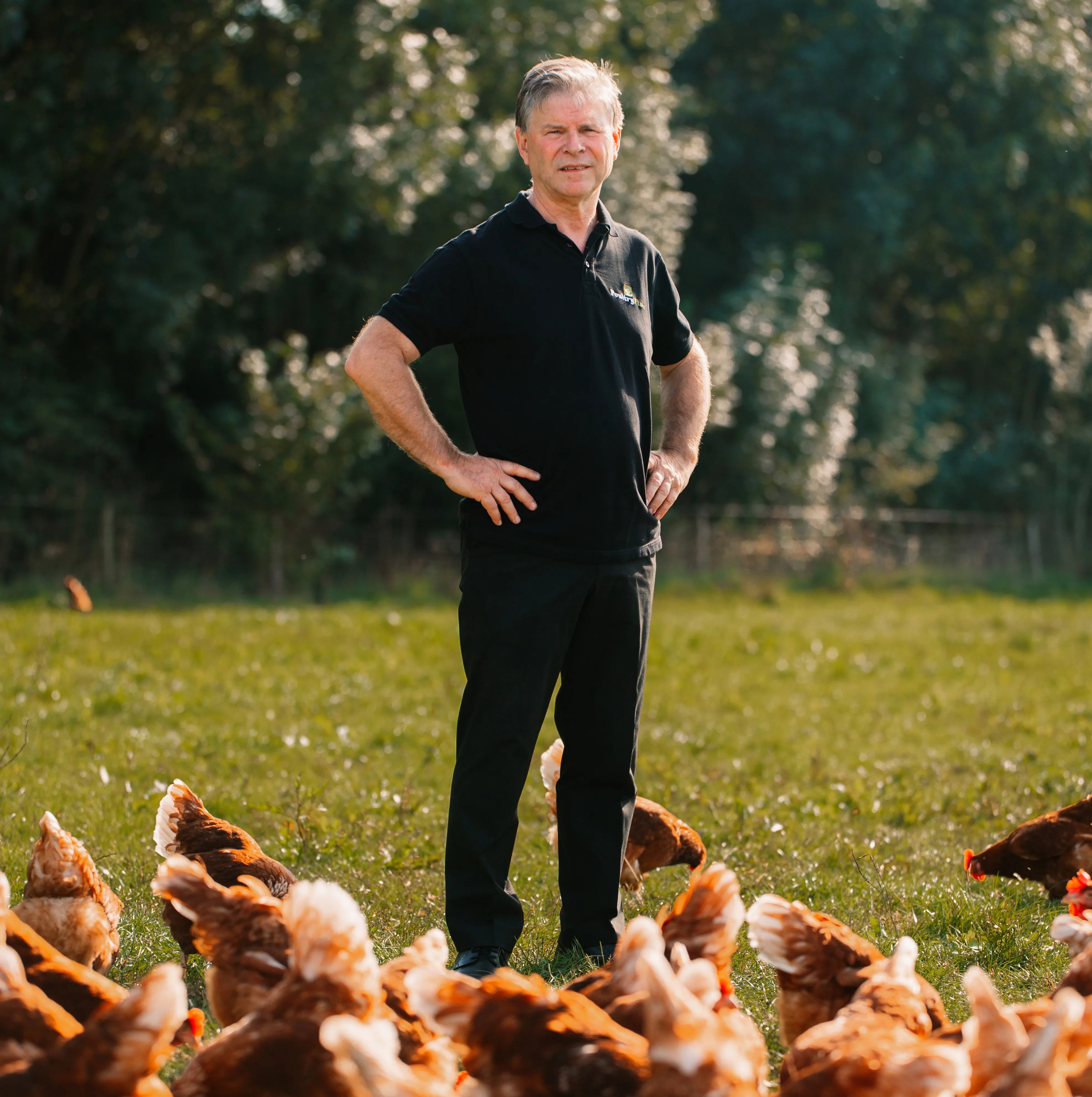 poultryplan