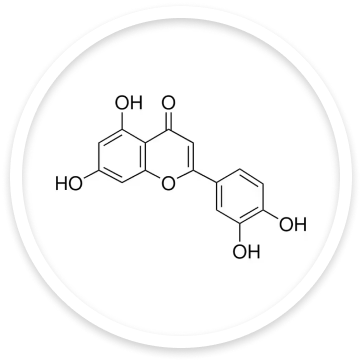 Identification by FTIR Test - Library Reference