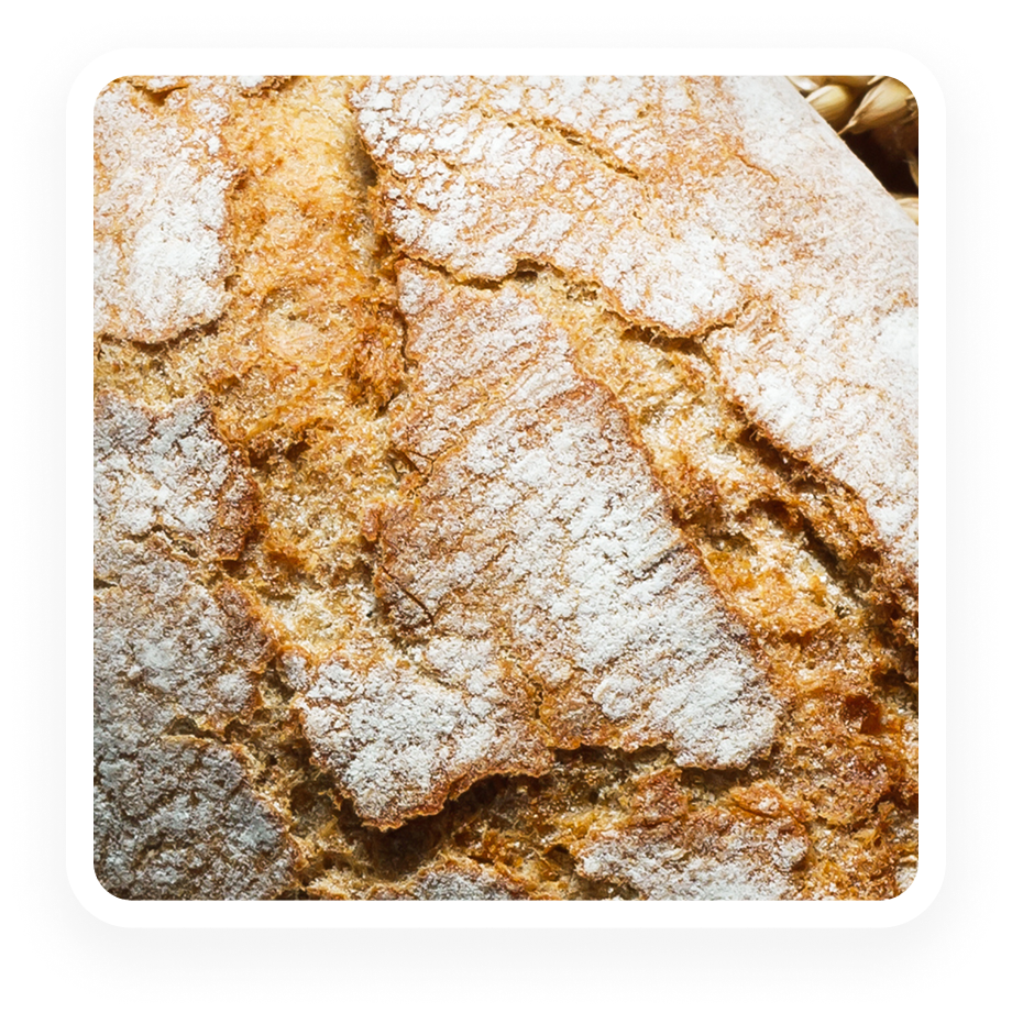 Gluten - ELISA