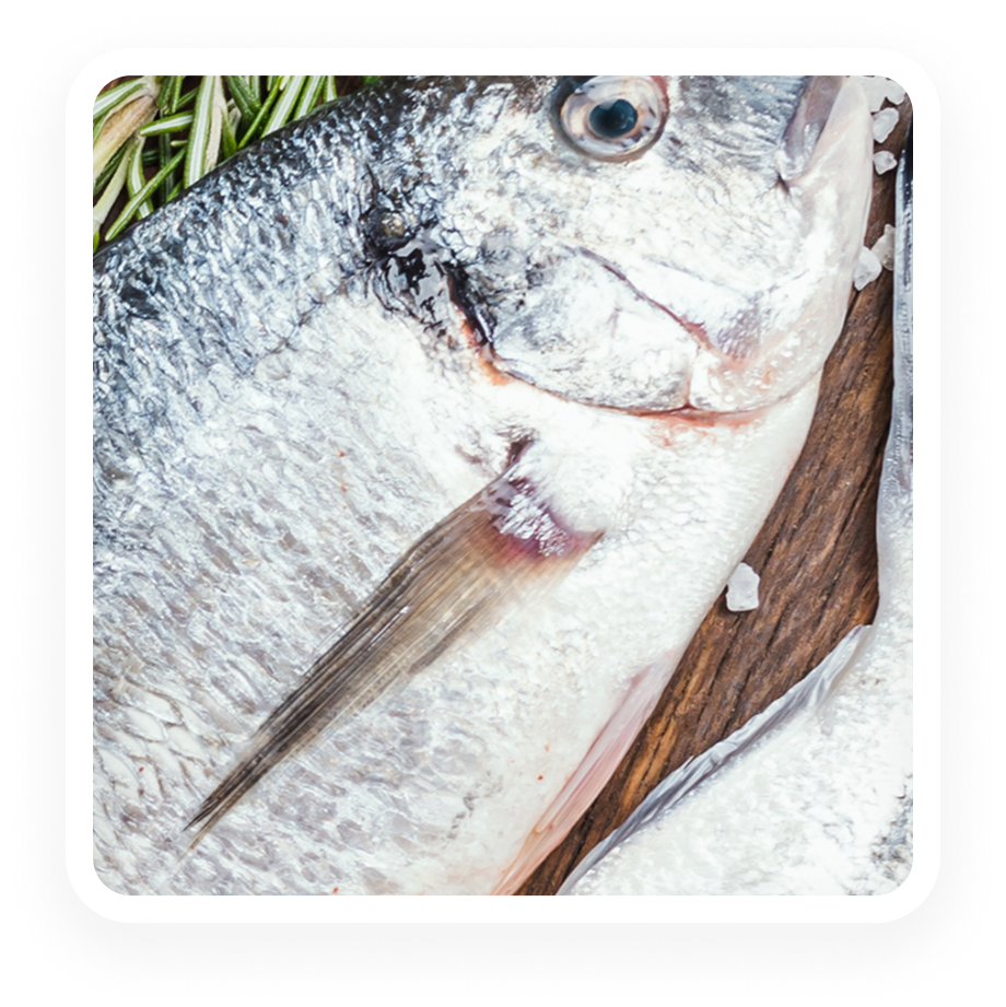 Fish - ELISA