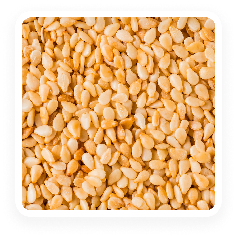 Sesame - ELISA