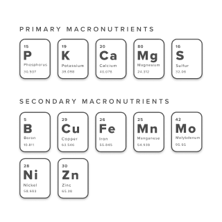 Plant Tissue - Nutritional Elements