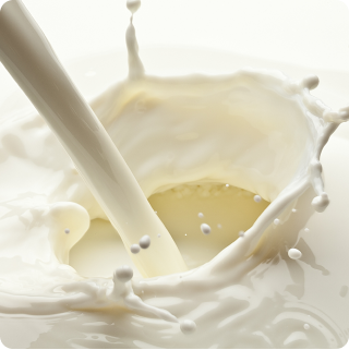 Bovine Total Milk - ELISA