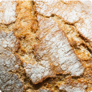 Gluten - ELISA