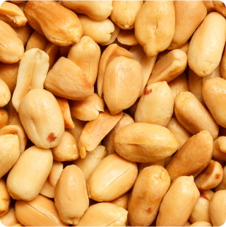 Peanut - ELISA