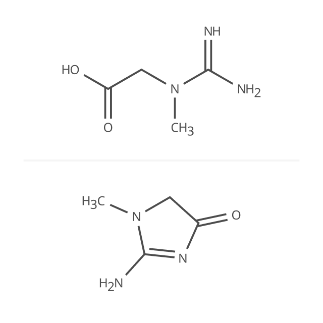 Creatine & Creatinine