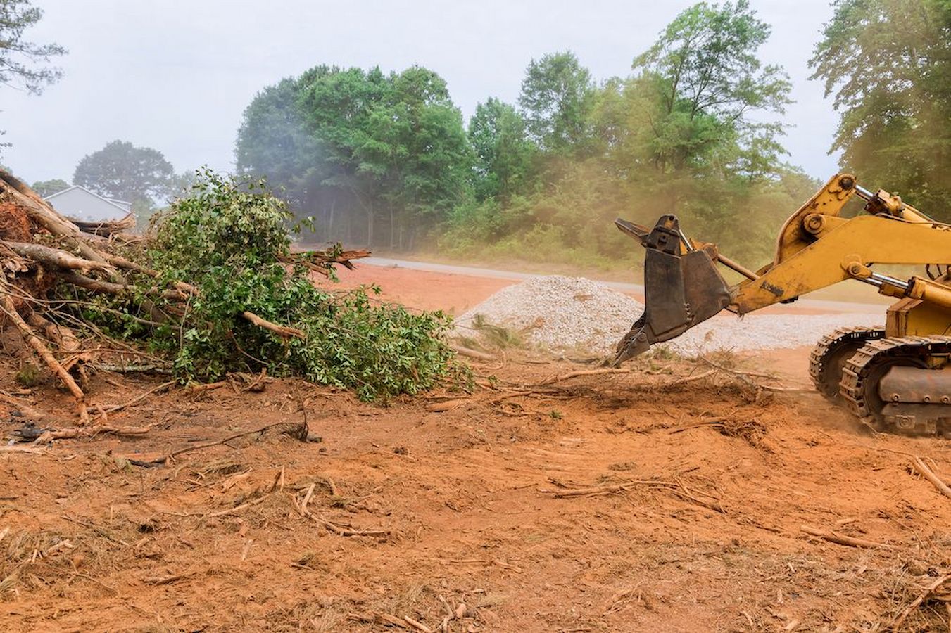 The Importance of Site Preparation: From Groundwork to Greatness